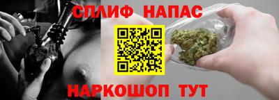 шишки Заволжье